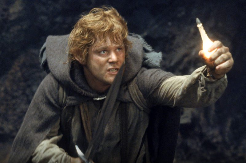 Funko POP! Movies Der Herr der Ringe Samwise Gamgee Signiert von Sean Astin mit Authentifizierung + Acrylbox – Bild 8